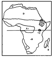 人類活動對極地生態環境的影響
