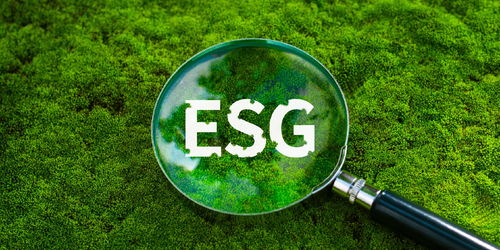 上半年我國生態環境質量持續改善，環保材料市場迎來發展新機遇